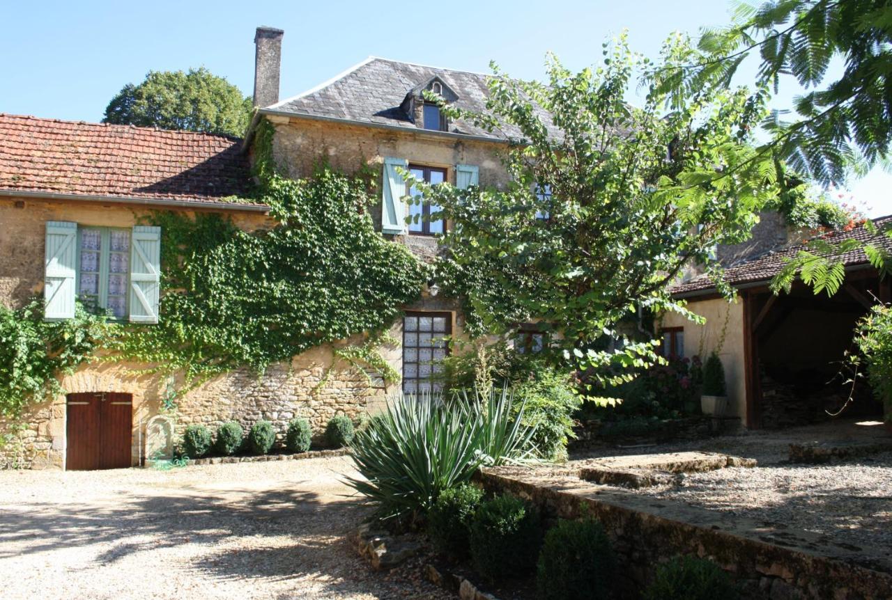 La Vieille Ferme: Superbe Complexe De 3 Gites En Pierre Avec Piscine Au Coeur Du Perigord Noir Saint-Genies Kültér fotó