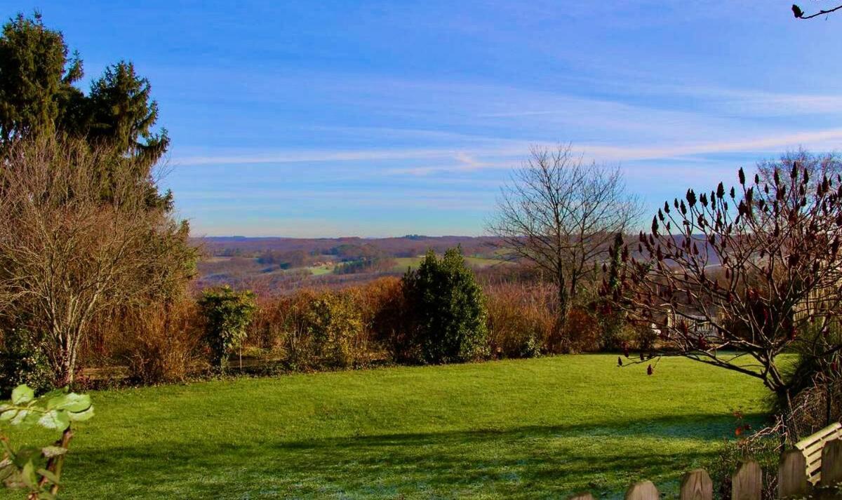 La Vieille Ferme: Superbe Complexe De 3 Gites En Pierre Avec Piscine Au Coeur Du Perigord Noir Saint-Genies Kültér fotó
