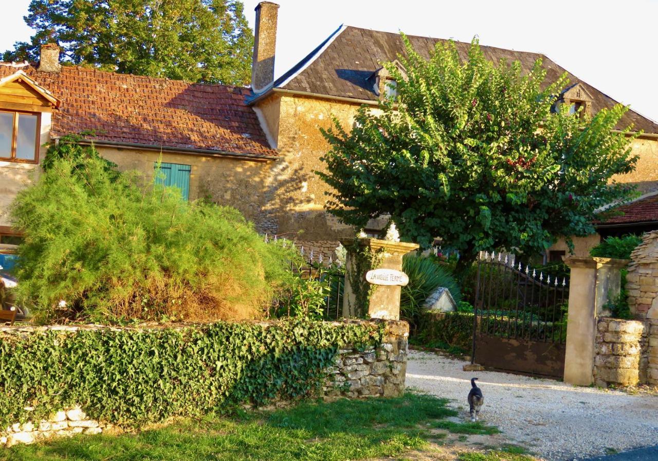 La Vieille Ferme: Superbe Complexe De 3 Gites En Pierre Avec Piscine Au Coeur Du Perigord Noir Saint-Genies Kültér fotó