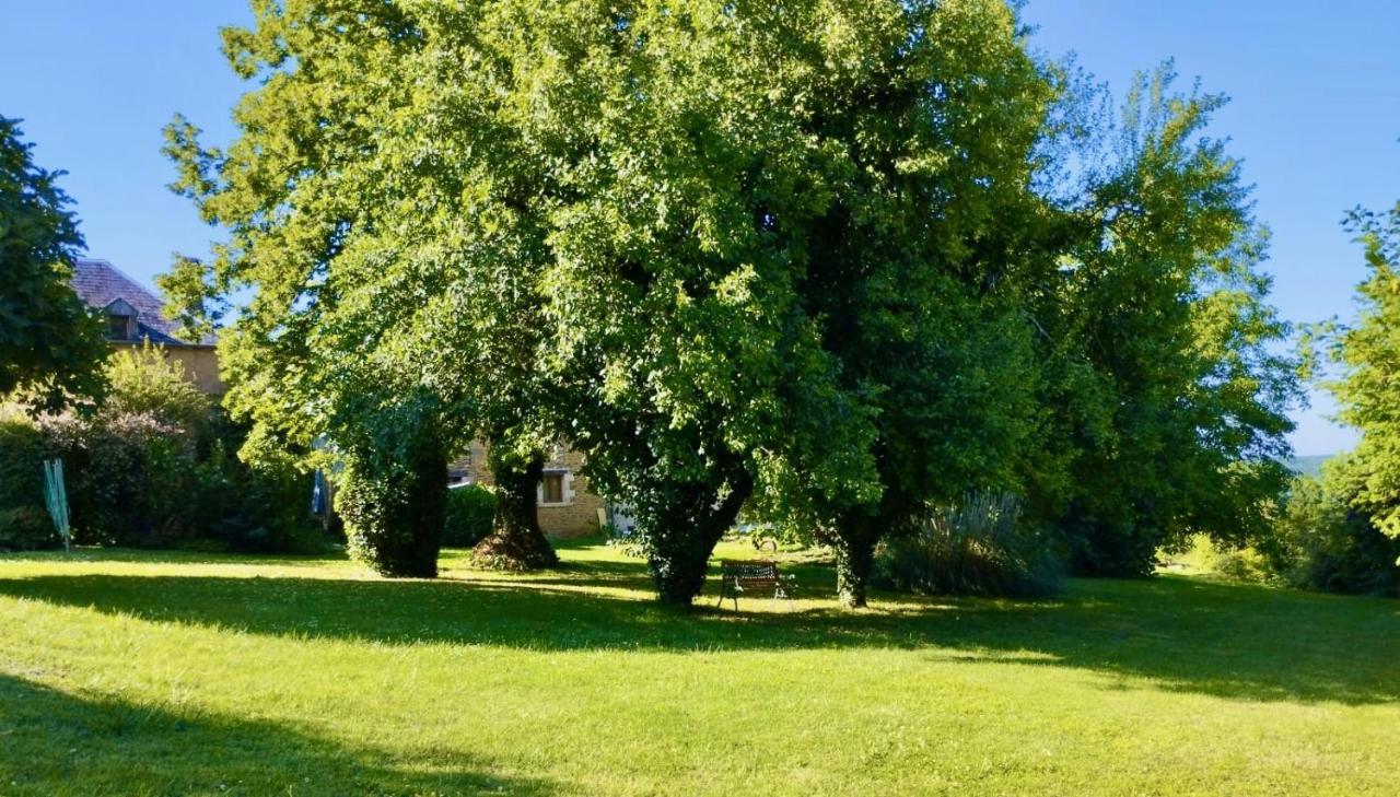 La Vieille Ferme: Superbe Complexe De 3 Gites En Pierre Avec Piscine Au Coeur Du Perigord Noir Saint-Genies Kültér fotó